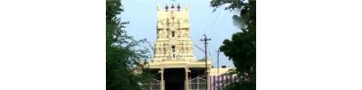 095. திருக்குளந்தை (பெருங்குளம்)
